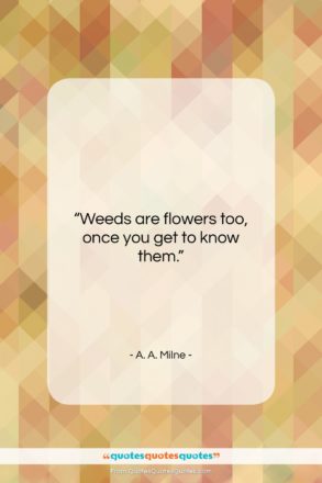 A. A. Milne quote: “Weeds are flowers too, once you get…”- at QuotesQuotesQuotes.com
