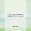 Aeschylus quote: “From a small seed a mighty trunk…”- at QuotesQuotesQuotes.com