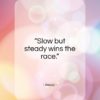 Aesop quote: “Slow but steady wins the race…”- at QuotesQuotesQuotes.com