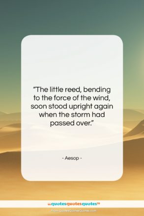 Aesop quote: “The little reed, bending to the force…”- at QuotesQuotesQuotes.com