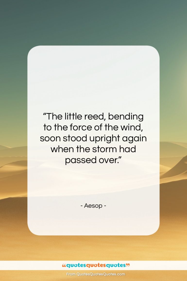 Aesop quote: “The little reed, bending to the force…”- at QuotesQuotesQuotes.com