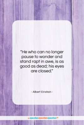 Albert Einstein quote: “He who can no longer pause to…”- at QuotesQuotesQuotes.com