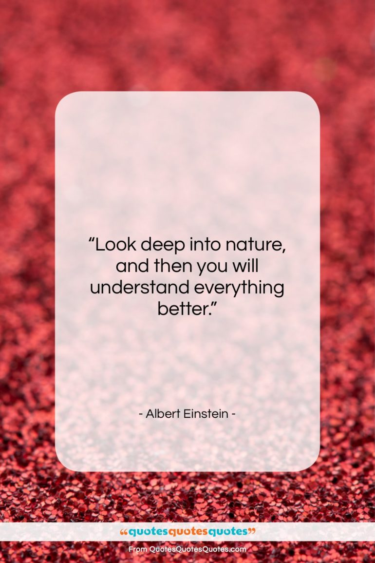 Albert Einstein quote: “Look deep into nature, and then you…”- at QuotesQuotesQuotes.com
