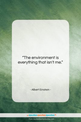 Albert Einstein quote: “The environment is everything that isn’t me….”- at QuotesQuotesQuotes.com
