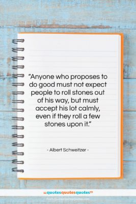 Albert Schweitzer quote: “Anyone who proposes to do good must…”- at QuotesQuotesQuotes.com