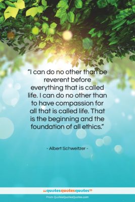 Albert Schweitzer quote: “I can do no other than be…”- at QuotesQuotesQuotes.com