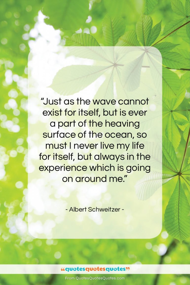 Albert Schweitzer quote: “Just as the wave cannot exist for…”- at QuotesQuotesQuotes.com