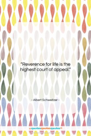 Albert Schweitzer quote: “Reverence for life is the highest court…”- at QuotesQuotesQuotes.com