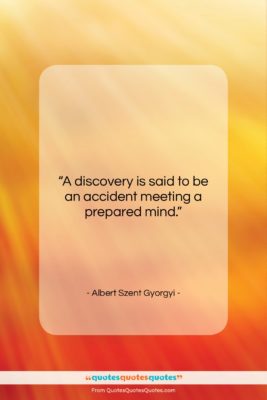 Albert Szent Gyorgyi quote: “A discovery is said to be an…”- at QuotesQuotesQuotes.com
