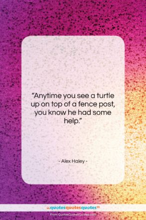 Alex Haley quote: “Anytime you see a turtle up on…”- at QuotesQuotesQuotes.com