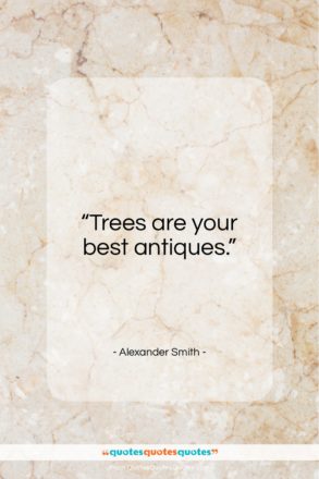 Alexander Smith quote: “Trees are your best antiques…”- at QuotesQuotesQuotes.com