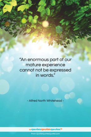 Alfred North Whitehead quote: “An enormous part of our mature experience…”- at QuotesQuotesQuotes.com