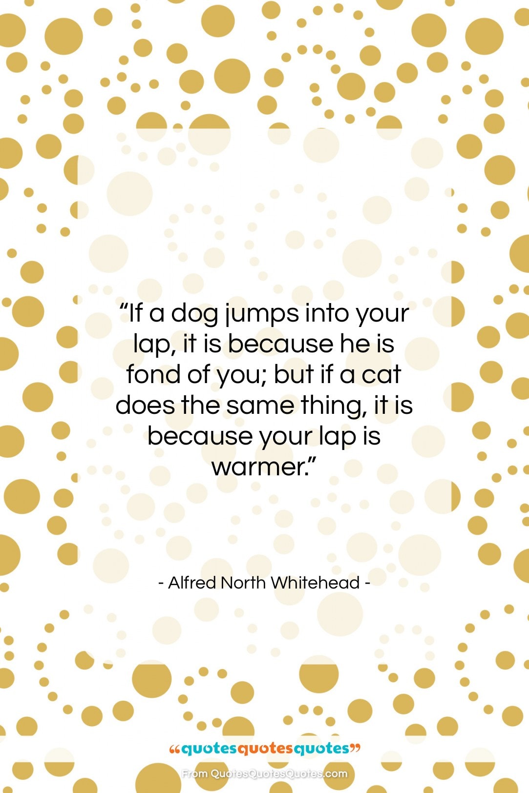 Alfred North Whitehead quote: “If a dog jumps into your lap,…”- at QuotesQuotesQuotes.com