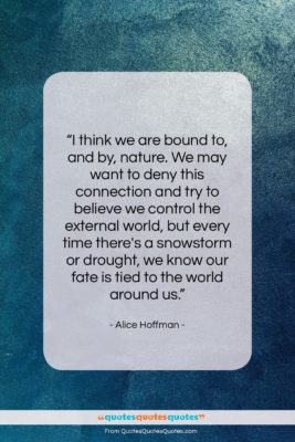 Alice Hoffman quote: “I think we are bound to, and…”- at QuotesQuotesQuotes.com