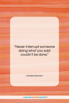 Amelia Earhart quote: “Never interrupt someone doing what you said…”- at QuotesQuotesQuotes.com