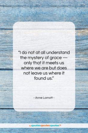 Anne Lamott quote: “I do not at all understand the…”- at QuotesQuotesQuotes.com