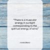Annie Dillard quote: “There is a muscular energy in sunlight…”- at QuotesQuotesQuotes.com