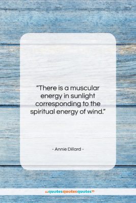 Annie Dillard quote: “There is a muscular energy in sunlight…”- at QuotesQuotesQuotes.com