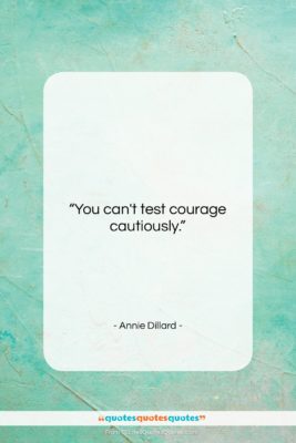 Annie Dillard quote: “You can’t test courage cautiously….”- at QuotesQuotesQuotes.com