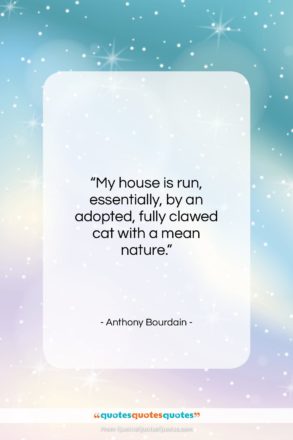 Anthony Bourdain quote: “My house is run, essentially, by an…”- at QuotesQuotesQuotes.com