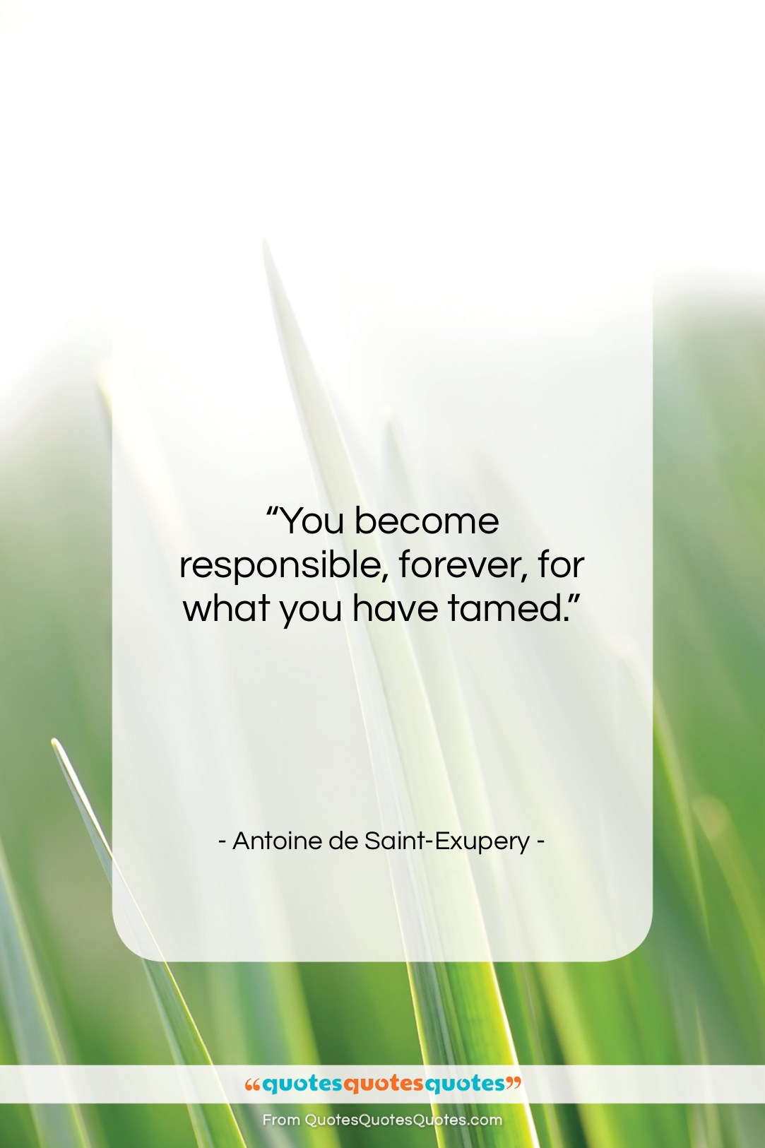Antoine de Saint-Exupery quote: “You become responsible, forever, for what you…”- at QuotesQuotesQuotes.com