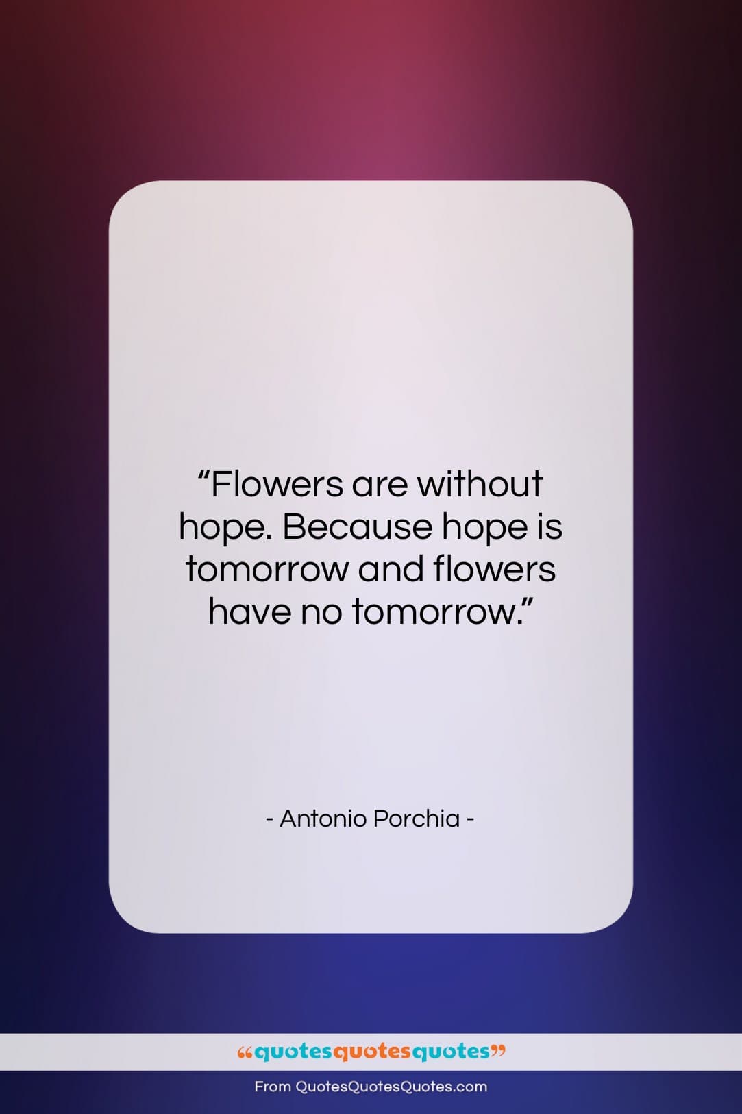 Antonio Porchia quote: “Flowers are without hope. Because hope is…”- at QuotesQuotesQuotes.com