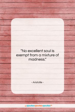 Aristotle quote: “No excellent soul is exempt from a…”- at QuotesQuotesQuotes.com