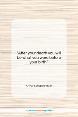 Arthur Schopenhauer quote: “After your death you will be what…”- at QuotesQuotesQuotes.com