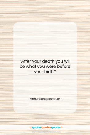 Arthur Schopenhauer quote: “After your death you will be what…”- at QuotesQuotesQuotes.com