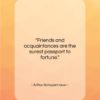 Arthur Schopenhauer quote: “Friends and acquaintances are the surest passport…”- at QuotesQuotesQuotes.com