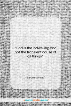 Baruch Spinoza quote: “God is the indwelling and not the…”- at QuotesQuotesQuotes.com