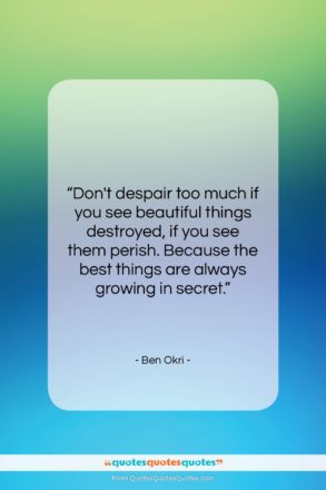 Ben Okri quote: “Don’t despair too much if you see…”- at QuotesQuotesQuotes.com