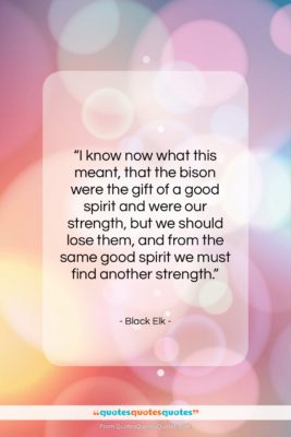 Black Elk quote: “I know now what this meant, that…”- at QuotesQuotesQuotes.com