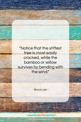Bruce Lee quote: “Notice that the stiffest tree is most…”- at QuotesQuotesQuotes.com