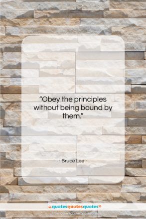 Bruce Lee quote: “Obey the principles without being bound by…”- at QuotesQuotesQuotes.com