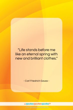 Carl Friedrich Gauss quote: “Life stands before me like an eternal…”- at QuotesQuotesQuotes.com