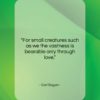 Carl Sagan quote: “For small creatures such as we the…”- at QuotesQuotesQuotes.com
