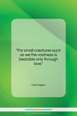 Carl Sagan quote: “For small creatures such as we the…”- at QuotesQuotesQuotes.com