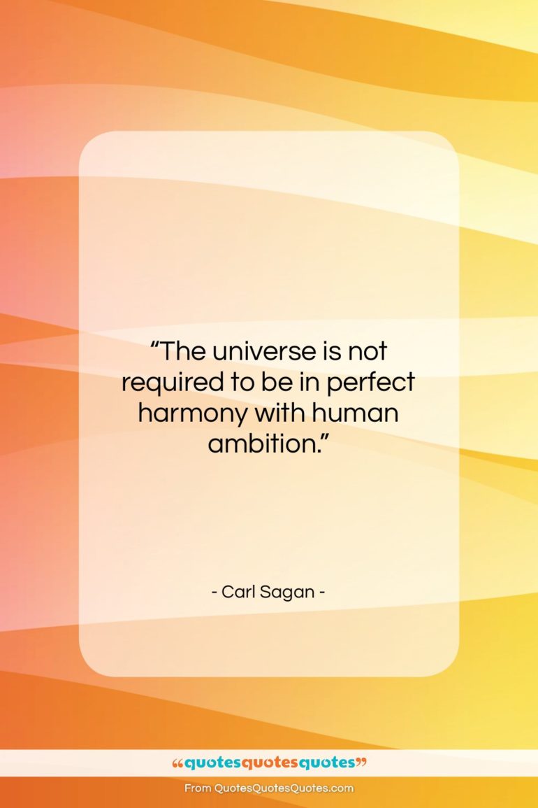 Carl Sagan quote: “The universe is not required to be…”- at QuotesQuotesQuotes.com