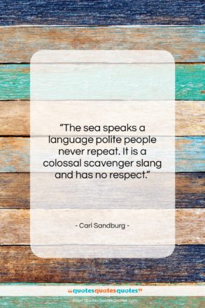 Carl Sandburg quote: “The sea speaks a language polite people…”- at QuotesQuotesQuotes.com