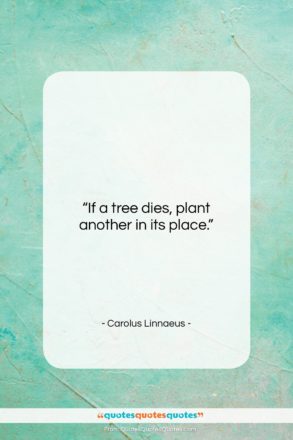 Carolus Linnaeus quote: “If a tree dies, plant another in…”- at QuotesQuotesQuotes.com