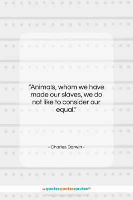 Charles Darwin quote: “Animals, whom we have made our slaves,…”- at QuotesQuotesQuotes.com