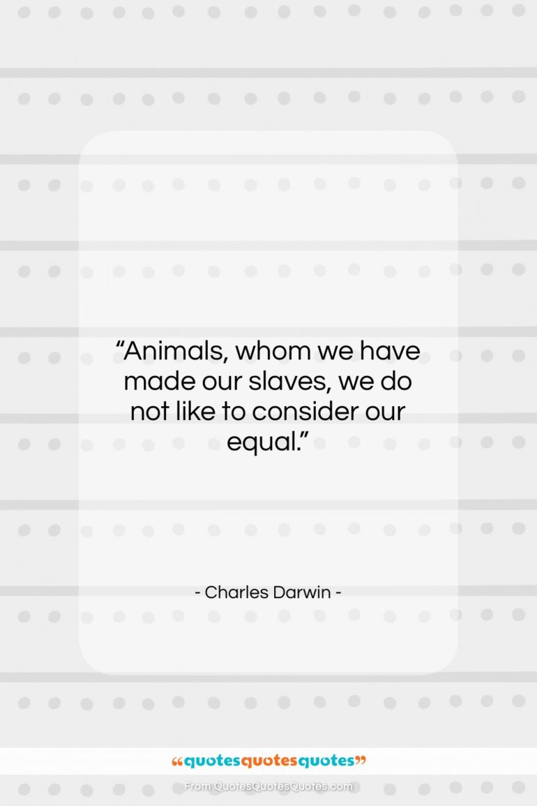 Charles Darwin quote: “Animals, whom we have made our slaves,…”- at QuotesQuotesQuotes.com