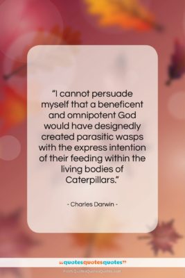 Charles Darwin quote: “I cannot persuade myself that a beneficent…”- at QuotesQuotesQuotes.com