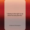Charles de Montesquieu quote: “Liberty is the right to do what…”- at QuotesQuotesQuotes.com