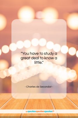 Charles de Secondat quote: “You have to study a great deal…”- at QuotesQuotesQuotes.com