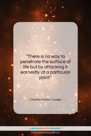 Charles Horton Cooley quote: “There is no way to penetrate the…”- at QuotesQuotesQuotes.com