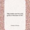 Charles M. Schulz quote: “Big sisters are the crab grass in…”- at QuotesQuotesQuotes.com