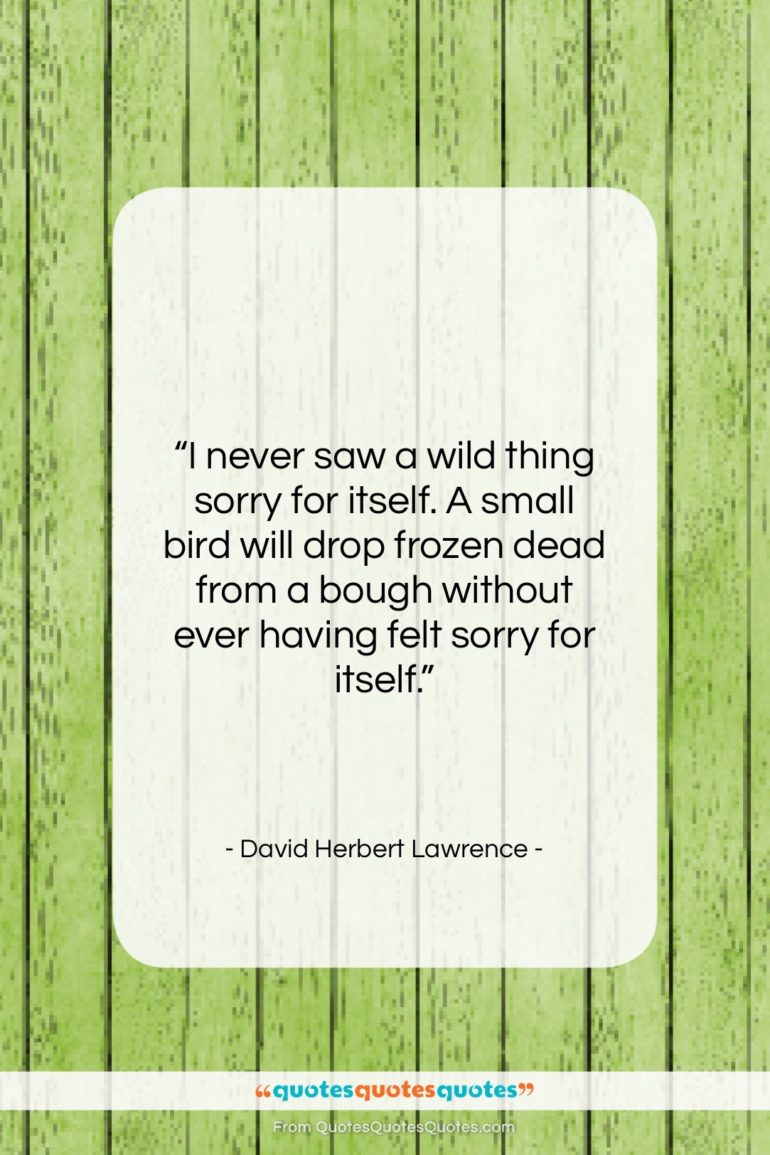 David Herbert Lawrence quote: “I never saw a wild thing sorry…”- at QuotesQuotesQuotes.com