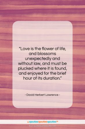 David Herbert Lawrence quote: “Love is the flower of life, and…”- at QuotesQuotesQuotes.com